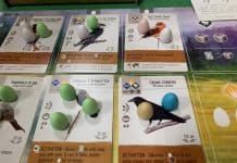 Dune Imperium, L’Auberge sanglante, Caverna, Khôra et Wingspan