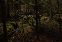 La mine de Phandalin épisode 6